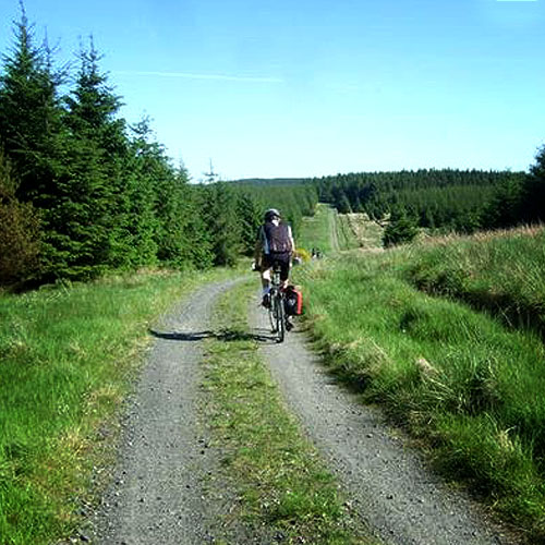 Cycling Northumberland