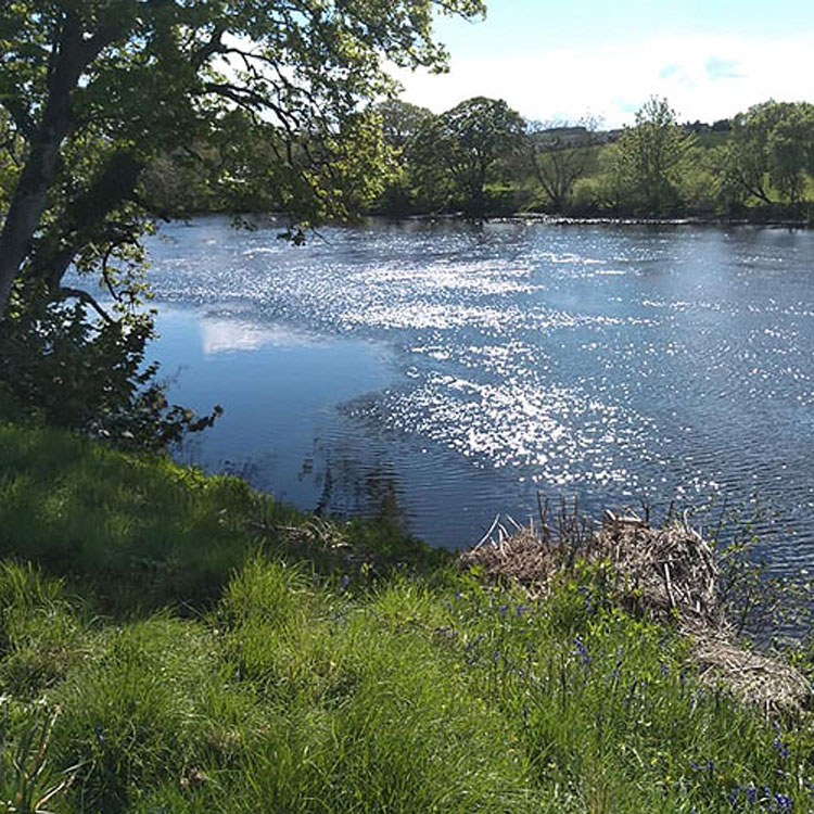 North Tyne River